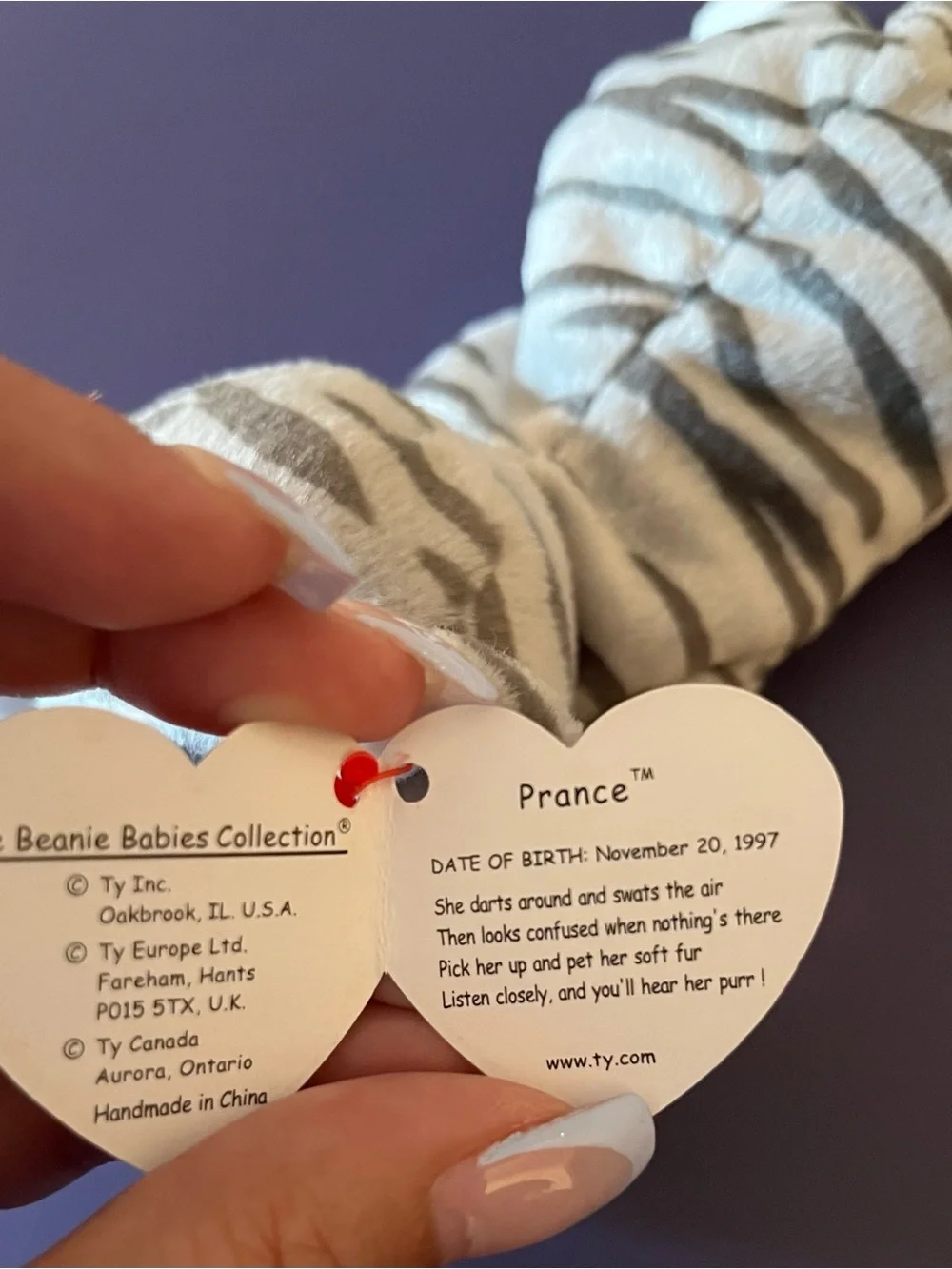 Prance the Kitty Beanie Baby
